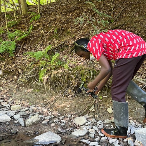 Water Justice Lab Talks With Douglas Reed About Stream Sampling
