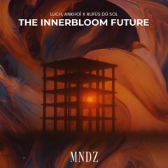 Luch, Ankhoï x Rüfüs Du Sol - The Innerbloom Future (MNDZ EDIT)