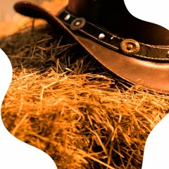 Vinheta Comitiva Na Rota Do Boi  Locutor Wildo