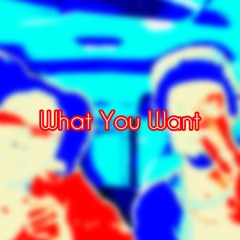 What You Want