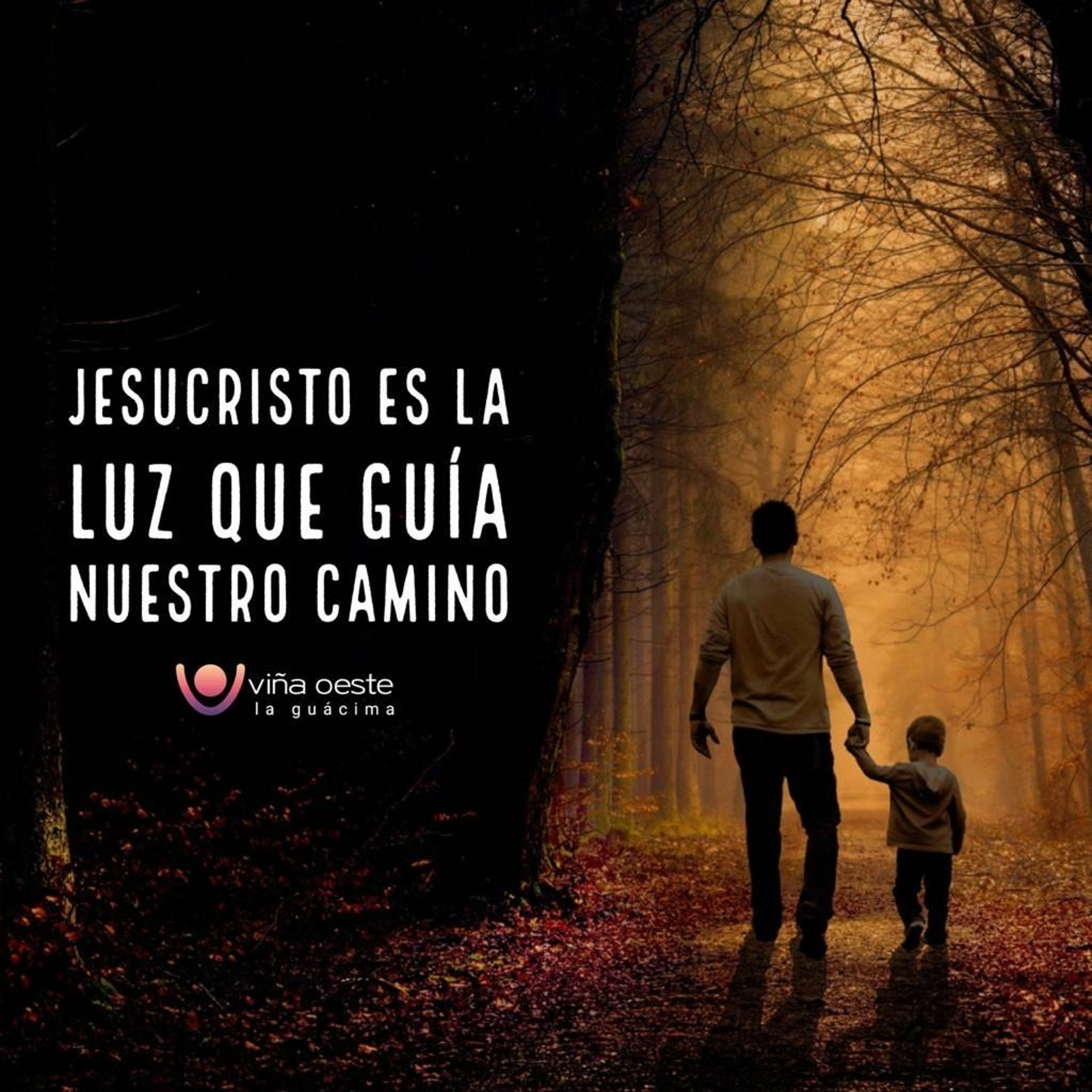 Viña Oeste La Guácima