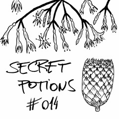 Secret Potions #014: Fabio Me Llaman Soltero - Culpable De Tus Lagrimas (Original Mix) FREE DOWNLOAD