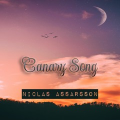 Niclas Assarsson - Canary Song