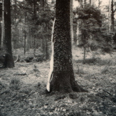 Mon amour, mon ami - cover