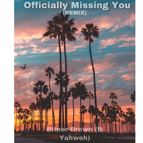 Officially Missing You (Remix)
