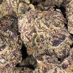 HIT A NIGGA UP WITH THE AK.wav