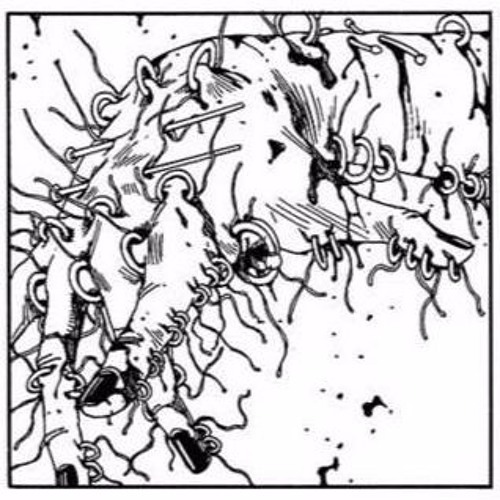 ઝ å ૨ ʍ å ઽ ષ Ƭ ૨ å (∰)