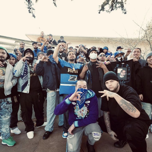 FREE DA GANG HOTBOY X MONEYMAFIA