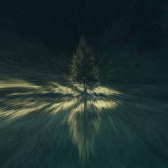 written in the wind
