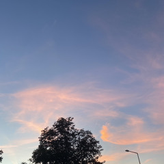 Sonnenuntergang x cyan prada (burrberg)