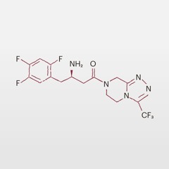 Dipeptidylpeptidase-4-Inhibitoren