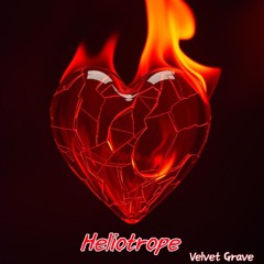 Heliotrope