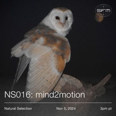 NS016: UK Funky w/ mind2motion