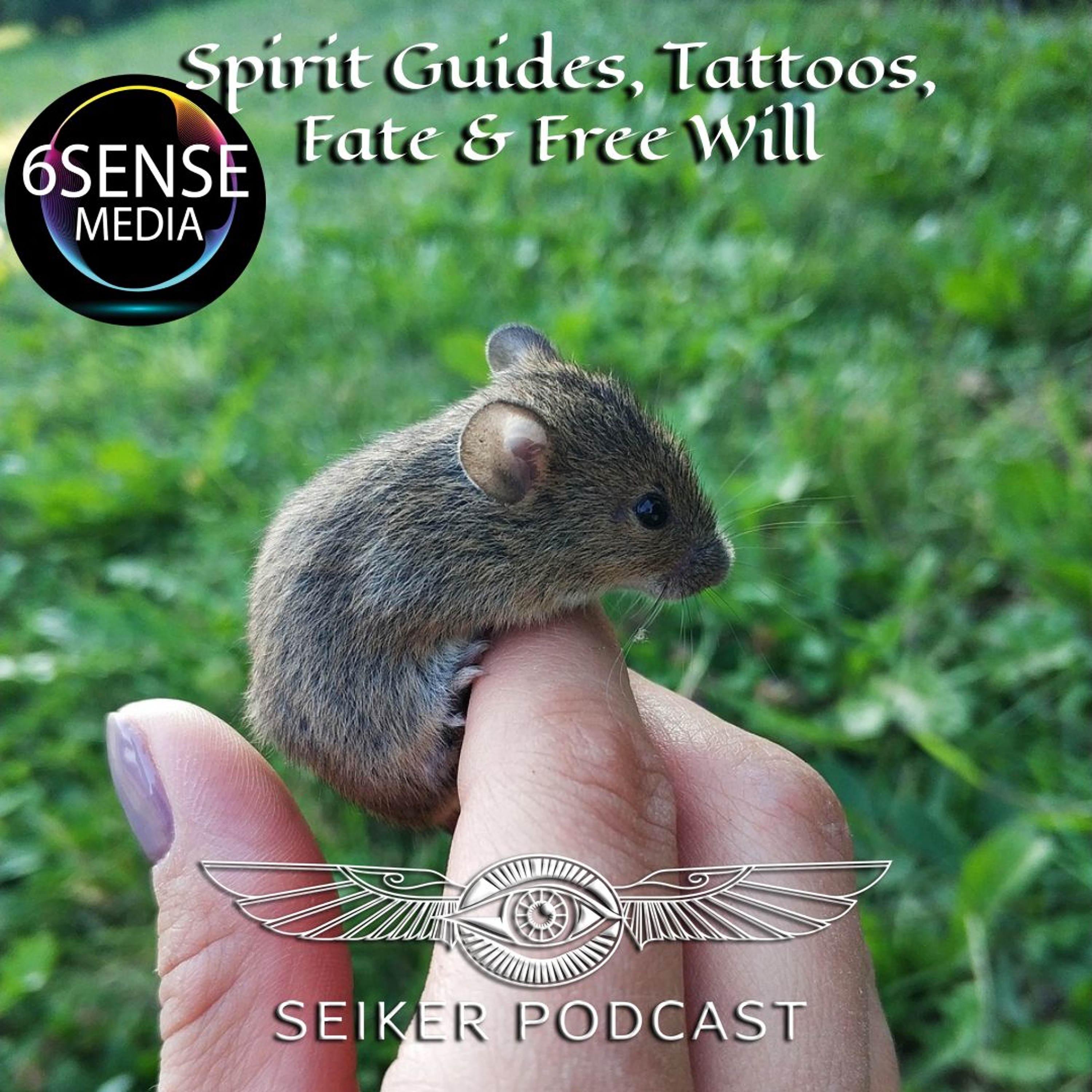 The Seiker Podcast