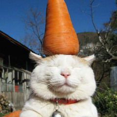 Proggy Froggy Set (Emersacker 24.5.25)