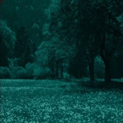 unknown/strain & phinccus - sueño recurrente