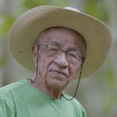 O meu Navio Azul - 029