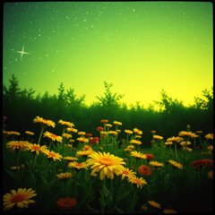 To Love Is Free