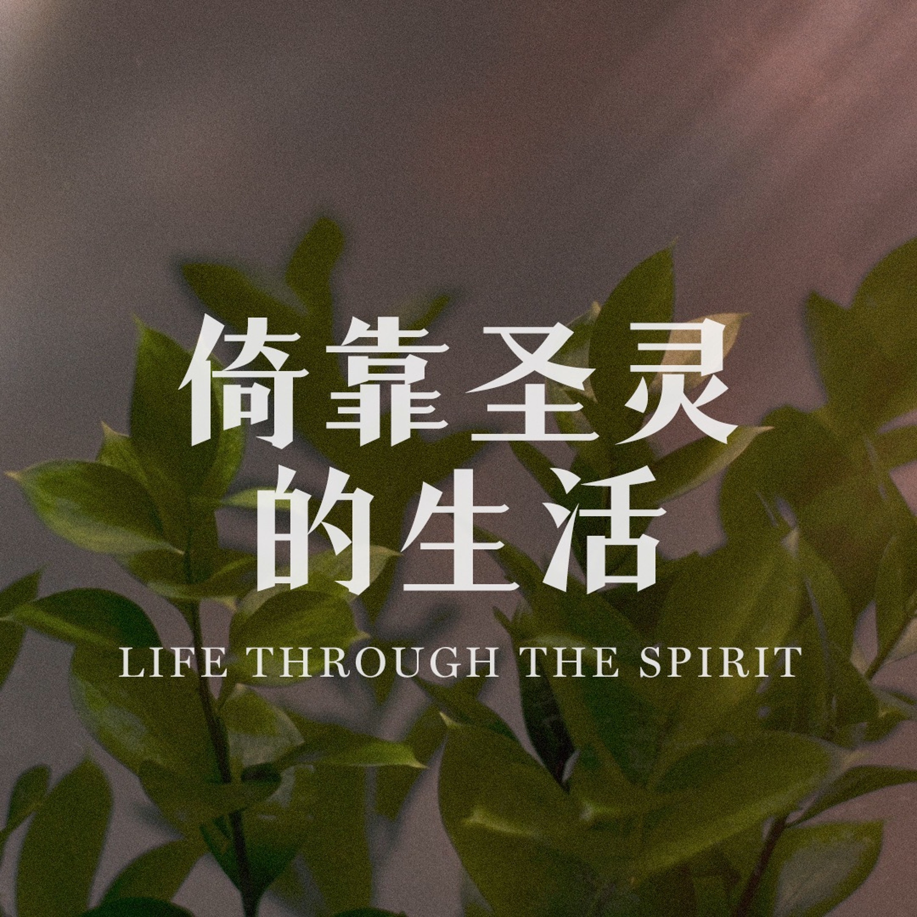06/02/2024 【罗马书】倚靠圣灵的生活 —— 伟大的交换（罗 8:1-13）——王唯权 牧师 episode artwork