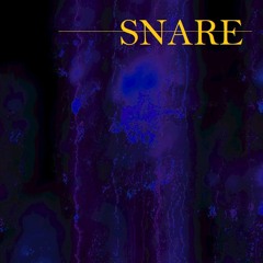 SNARE @S&R 17.11.23