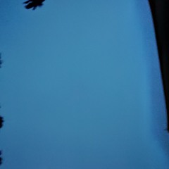 Numinous Intoxications