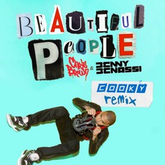 Chris Brown & Benny Benassi - Beautiful People (Cooky Bootleg)