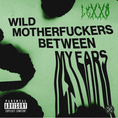 Wild Motherfuckers Between My Ears / [Mashup] (Wild Motherfuckers ~ The Enemy Between My Ears)