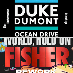 World Hold On x Ocean Drive (Tim Underscore Mashup) (Preview)