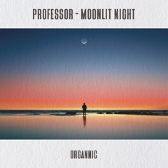Professor - Moonlit Night
