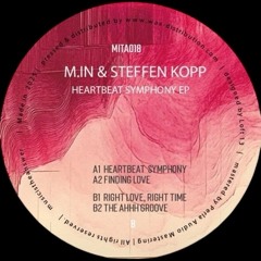 M.in & Steffen Kopp - Heartbeat Symphony (#1 House Buzz Charts Decks.de)