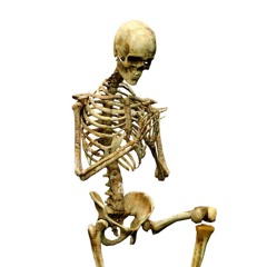 Backyard_4434_Moms Home