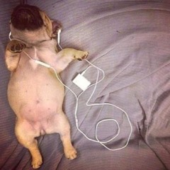 silent bloom (prod.hastie0007)