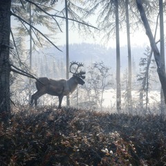 19 Silver Ridge Peaks Main Theme  TheHunter Call Of The Wild Soundtrack