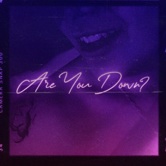 ARE YOU DOWN (feat.kaystylez)