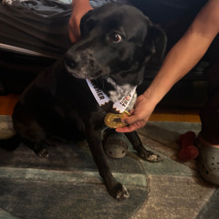 Fall in love with Me - DEMO