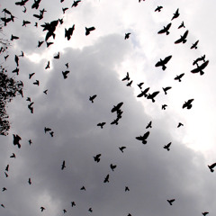 Spinning (feat. Miles Lally On Bass)