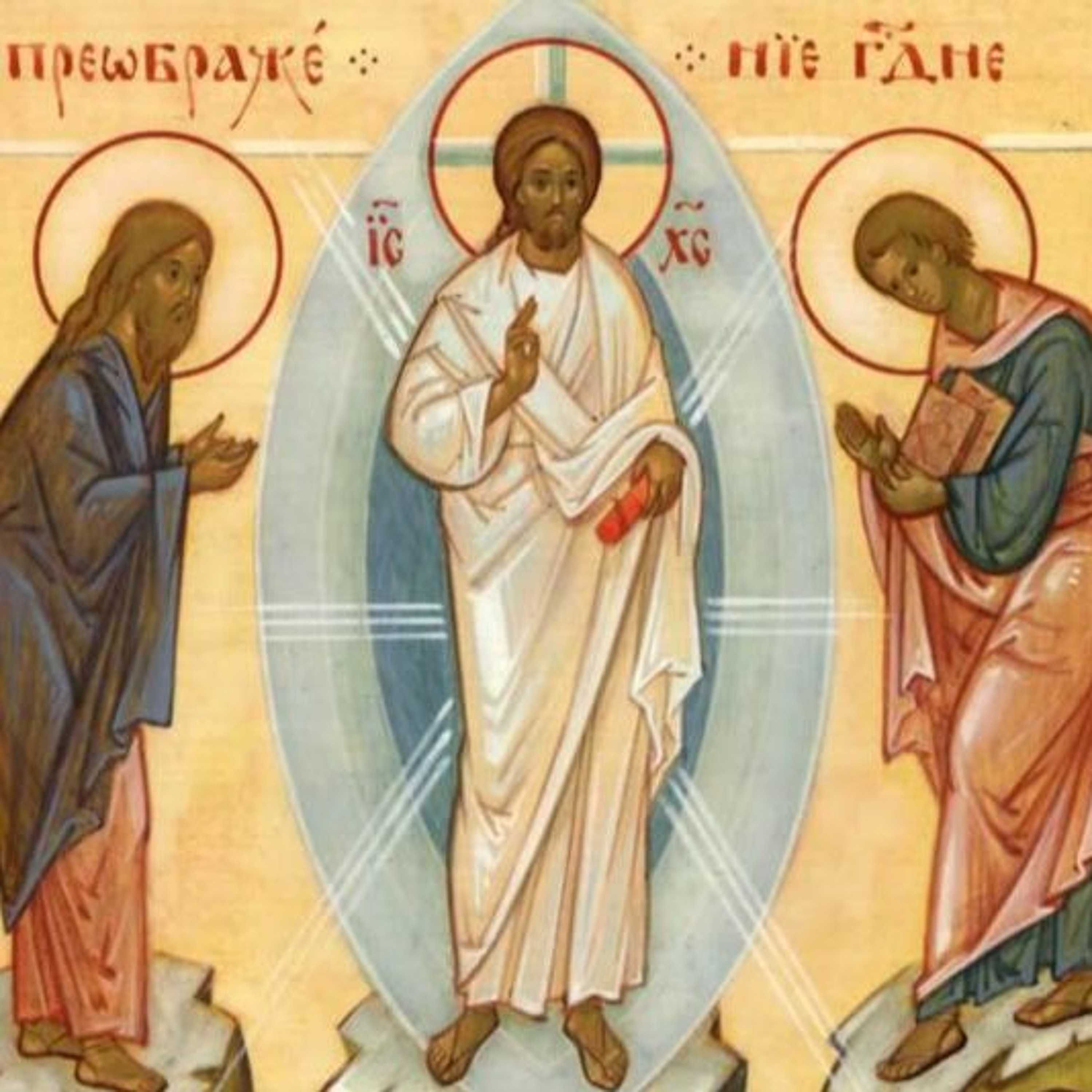 At Home Retreat - #8 - "The Apostolic Life- Offering Your Life To God" - Fr Philip episode artwork