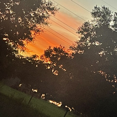 So Cool - (Itchybraids & Malakai)