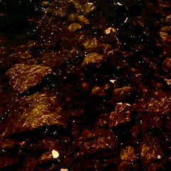 Four Travelers in the Desert Uttering Prayers to Their Different Gods