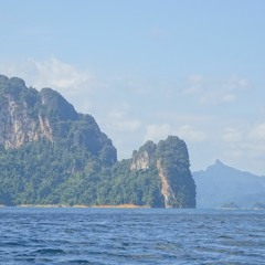 Nāḍī