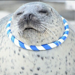 Alexis+Vlariel COM381 Assignment 7 SOUP - Worm 2