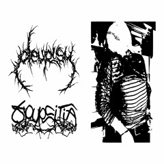 Pleurisy/Spurcitia Split