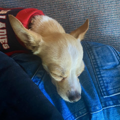 the sun burns brighter when you’re near(demo)