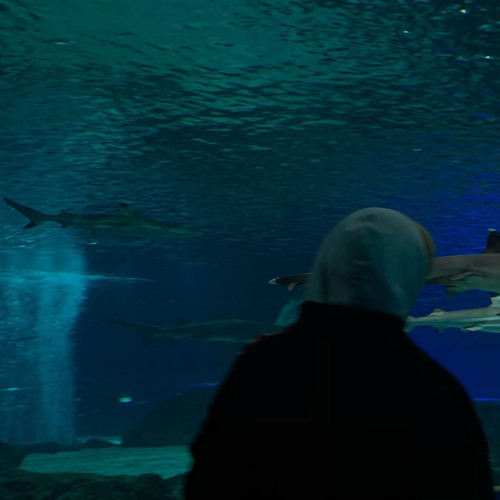 빈첸 IMOK 회고록