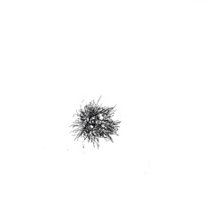 BMG - 25_09_05