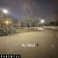 No Mind