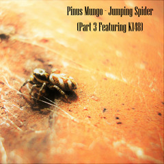 Jumping Spider (Part 3 ft. K148)