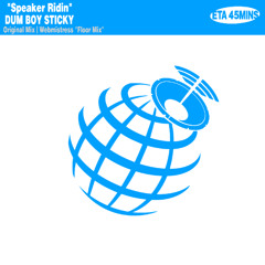 Speaker Ridin' (Webmistress Floor Mix)