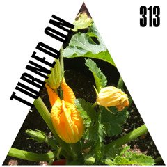#313: Joe Cleen, Carlo, Jackmate, Broke One, Guim, DJ Counselling