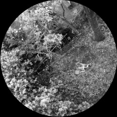 Venom [bandcamp stuff]